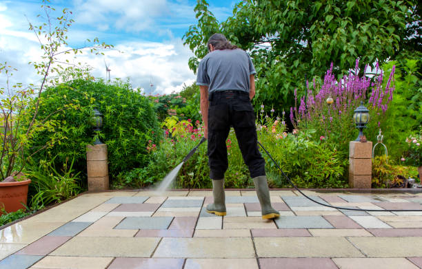 Best Sidewalk and Walkway Cleaning  in Salem, MO